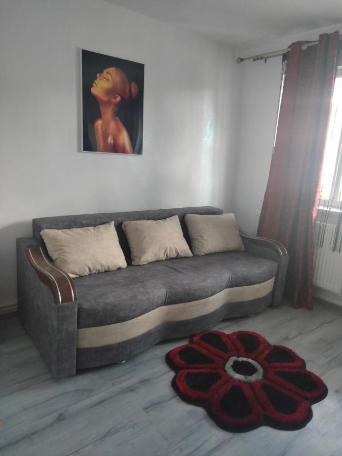 Apartament Geo Nehoiu Extérieur photo
