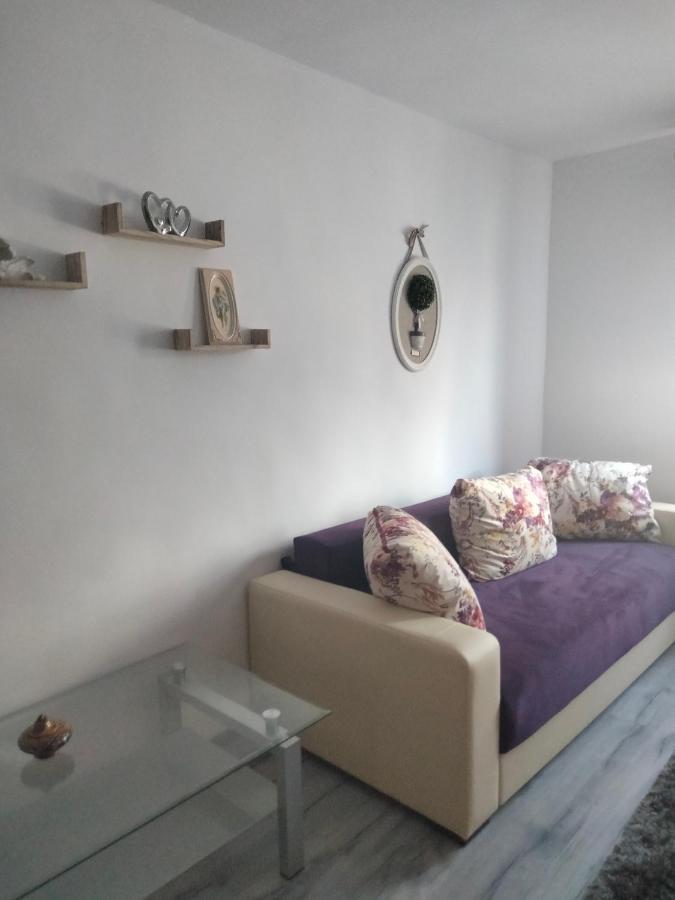 Apartament Geo Nehoiu Extérieur photo
