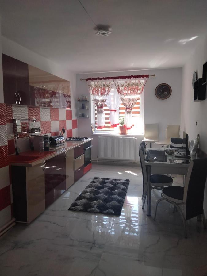 Apartament Geo Nehoiu Extérieur photo