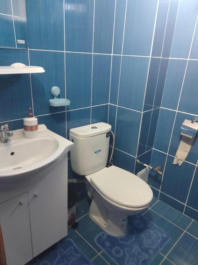 Apartament Geo Nehoiu Extérieur photo