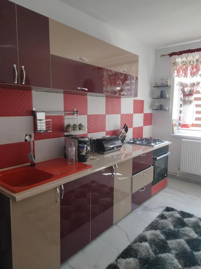 Apartament Geo Nehoiu Extérieur photo