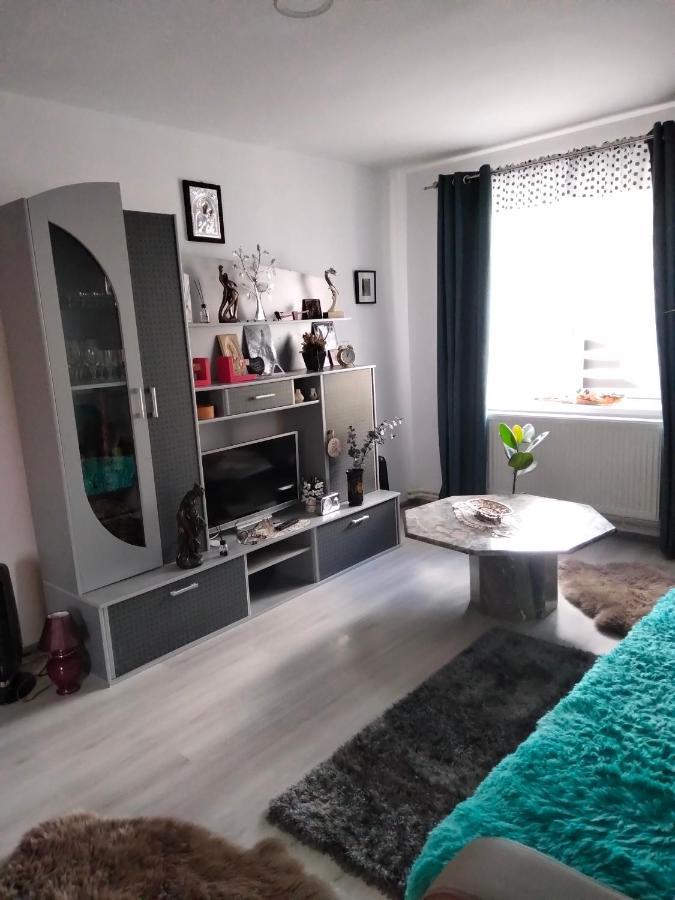 Apartament Geo Nehoiu Extérieur photo