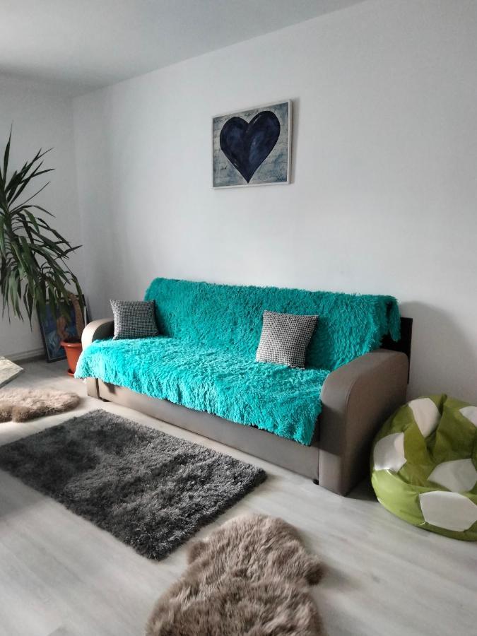 Apartament Geo Nehoiu Extérieur photo
